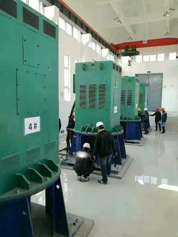 坦洲镇某污水处理厂使用我厂的立式高压电机安装现场生产厂家